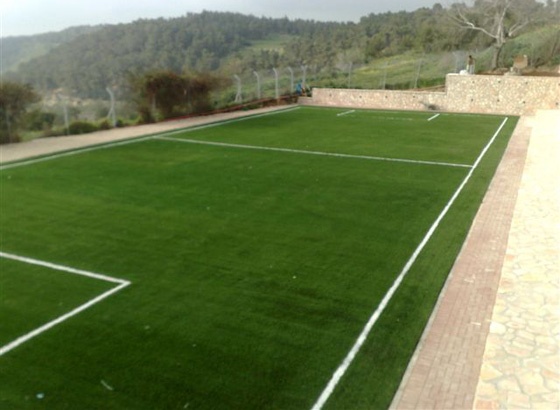 דשא סינטטי למגרשי ספורט