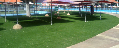 דשא מוכן – הדרך הקלה והמהירה להשגת מרבצי דשא מפנקים